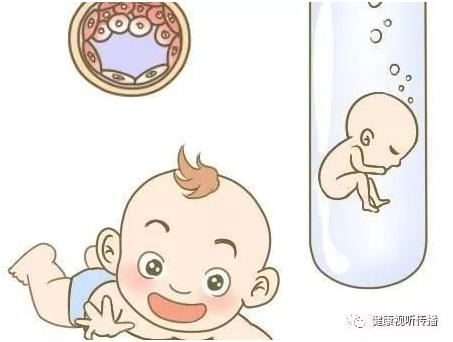 关于包生男孩的公司